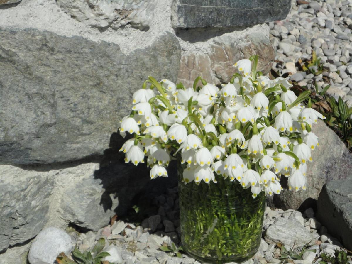 Schiessling Hof Oberndorf in Tirol Exterior foto